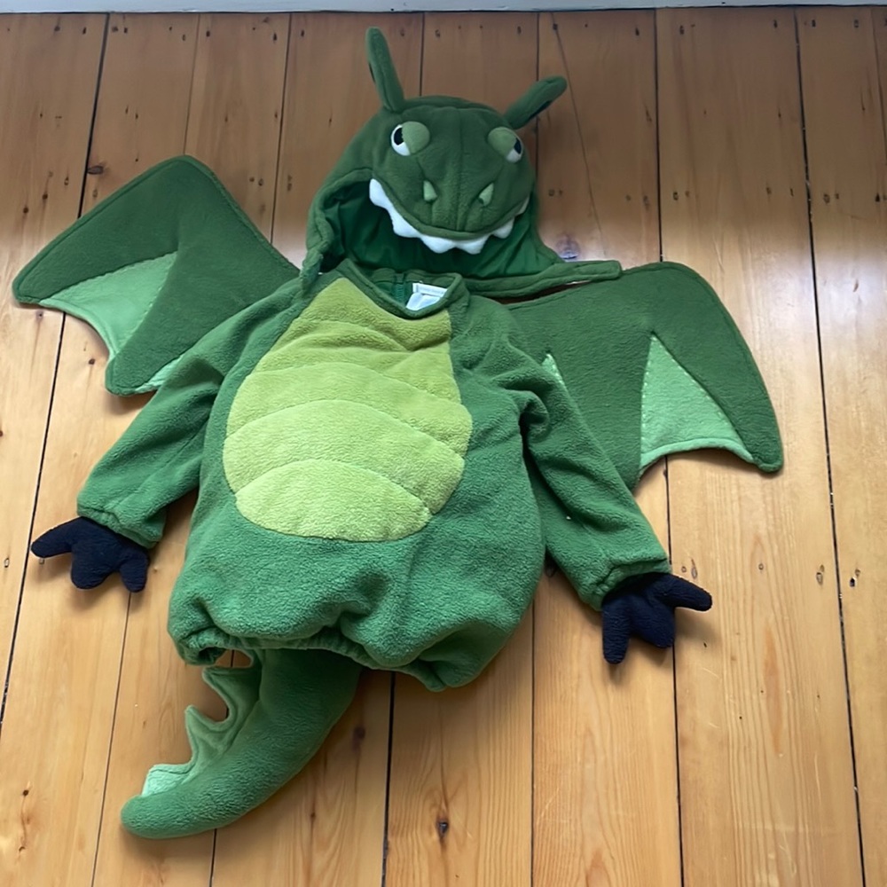 Pottery barn kids dragon costume